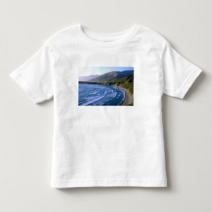 USA, California, Big Sur, bay along Highway 1. Toddler T-Shirt
