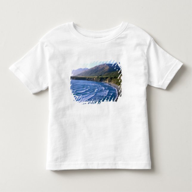 USA, California, Big Sur, bay along Highway 1. Toddler T-Shirt (Front)