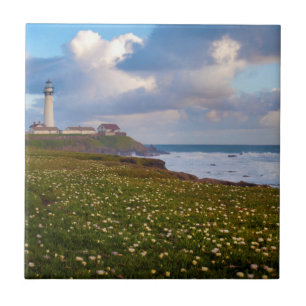USA, California. Big Sur Panorama 2 Tile