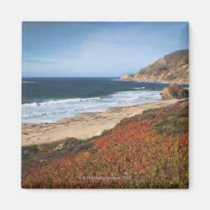 USA, California, Big Sur, Red plants by beach Magnet