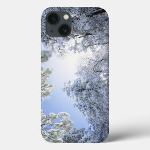 USA, California, Cleveland National Forest, iPhone 13 Case