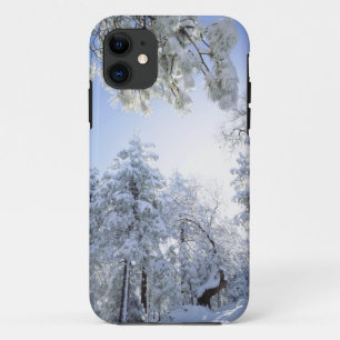 USA, California, Cleveland National Forest, iPhone 11 Case