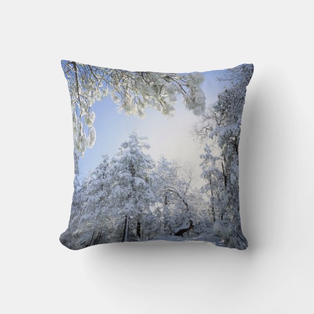 USA, California, Cleveland National Forest, Cushion (Front)