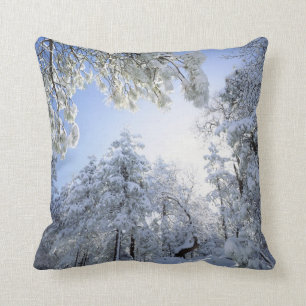 USA, California, Cleveland National Forest, Cushion