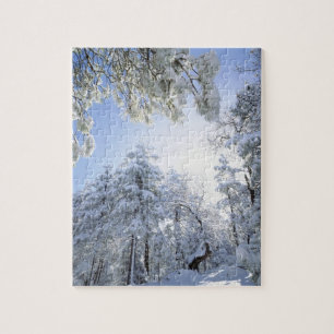 USA, California, Cleveland National Forest, Jigsaw Puzzle