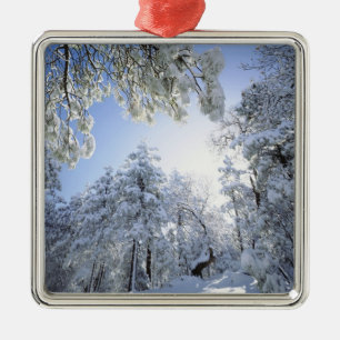 USA, California, Cleveland National Forest, Metal Ornament