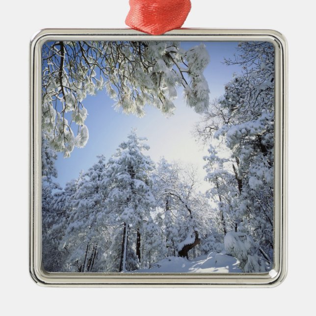 USA, California, Cleveland National Forest, Metal Ornament (Front)