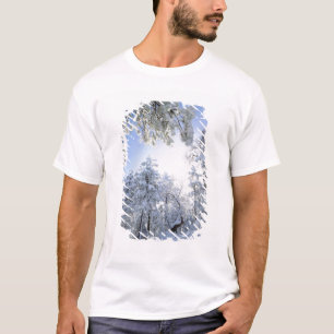 USA, California, Cleveland National Forest, T-Shirt