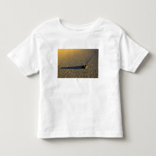 USA, California, Death Valley National Park. 2 Toddler T-Shirt