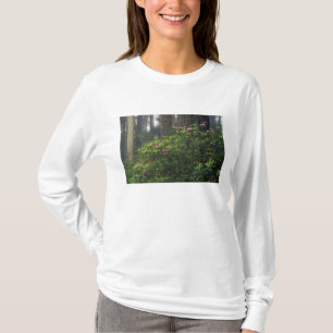 USA, California, Del Norte, Redwoods St. Park, T-Shirt