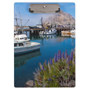 USA, California. Docked Boats At Morro Bay Clipboard