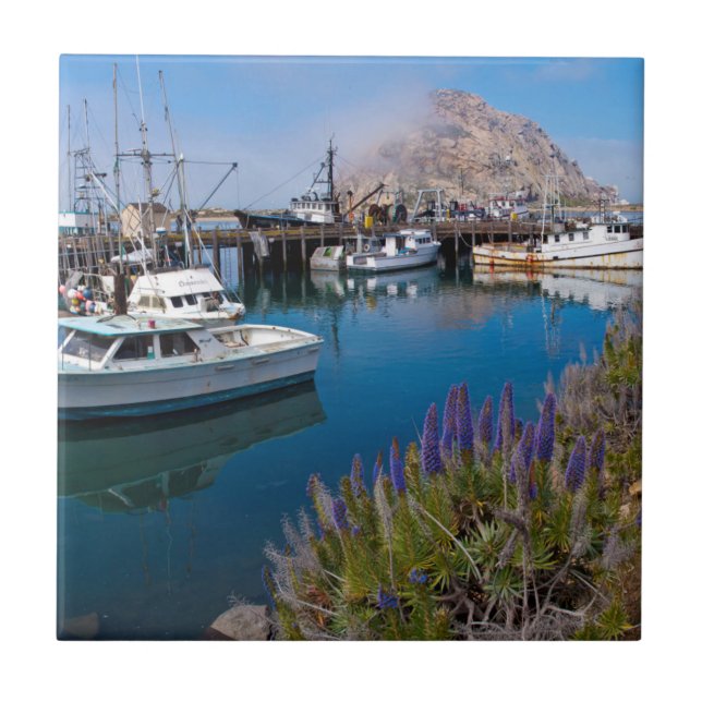 USA, California. Docked Boats At Morro Bay Tile (Front)