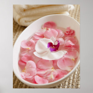 USA, California, Fairfax, Bowl of petals by Poster