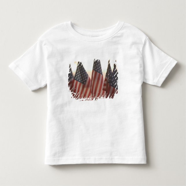 USA, California, Gold Country, Amador City: Toddler T-Shirt (Front)