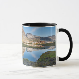 USA, California, Inyo National Forest 11 Mug