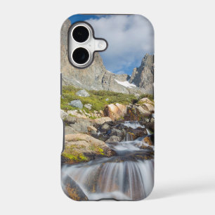 USA, California, Inyo National Forest 14