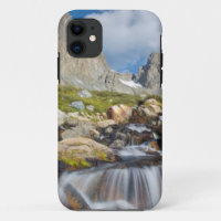 USA, California, Inyo National Forest 14