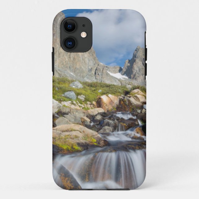 USA, California, Inyo National Forest 14 Case-Mate iPhone Case (Back)