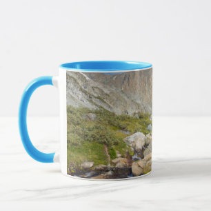 USA, California, Inyo National Forest 14 Mug