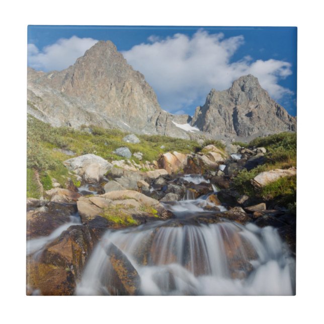 USA, California, Inyo National Forest 14 Tile (Front)