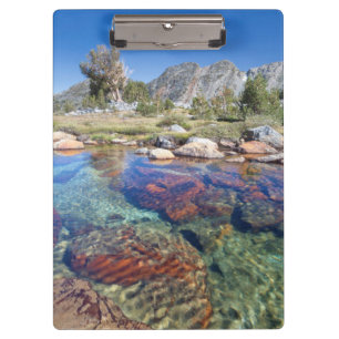USA, California, Inyo National Forest 4 Clipboard
