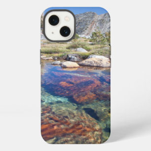 USA, California, Inyo National Forest 4 iPhone Case