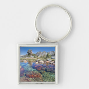 USA, California, Inyo National Forest 4 Key Ring