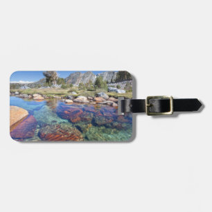USA, California, Inyo National Forest 4 Luggage Tag