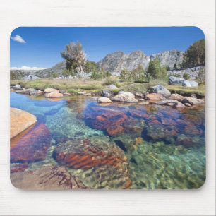 USA, California, Inyo National Forest 4 Mouse Pad