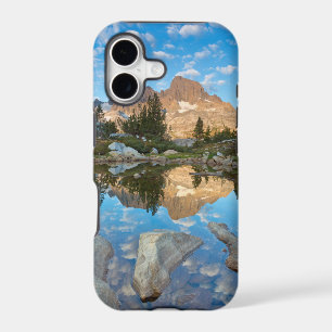 USA, California, Inyo National Forest 5