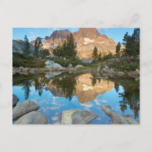 USA, California, Inyo National Forest 5 Postcard