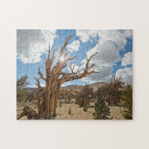 USA, California, Inyo National Forest 6 Jigsaw Puzzle