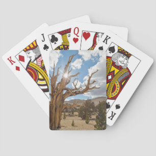 USA, California, Inyo National Forest 6 Playing Cards