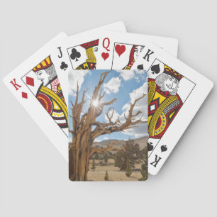 USA, California, Inyo National Forest 6 Playing Cards