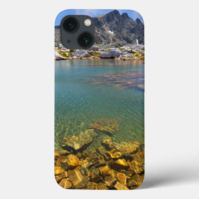 USA, California, Inyo National Forest 8 Case-Mate iPhone Case (Back)