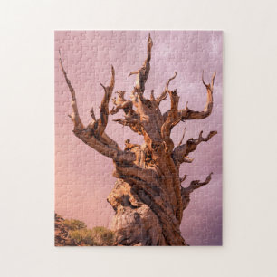 USA, California, Inyo National Forest 9 Jigsaw Puzzle