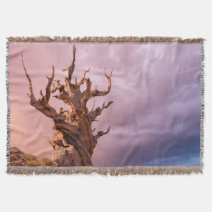 USA, California, Inyo National Forest 9 Throw Blanket