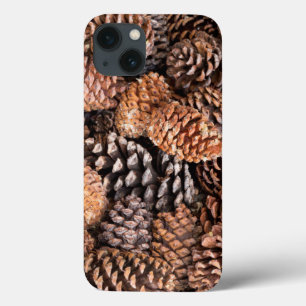 USA, California, Inyo National Forest iPhone 13 Case