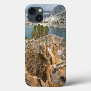 USA, California, Inyo National Forest. iPhone 13 Case