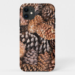 USA, California, Inyo National Forest iPhone 11 Case