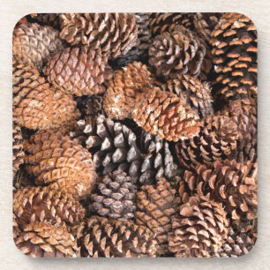 USA, California, Inyo National Forest Coaster