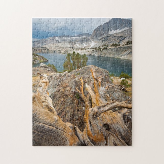 USA, California, Inyo National Forest. Jigsaw Puzzle (Vertical)