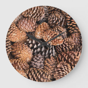 USA, California, Inyo National Forest Large Clock