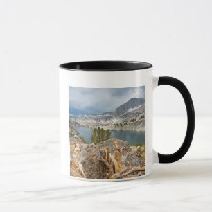 USA, California, Inyo National Forest. Mug
