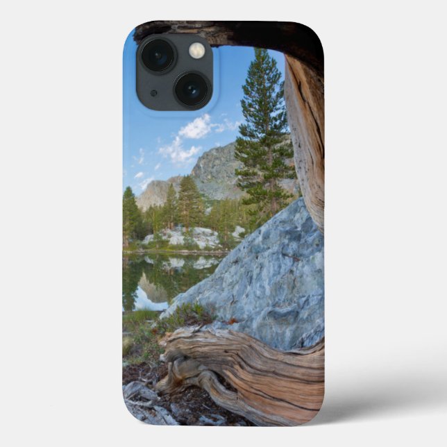 USA, California, Inyo National Forest. Old Pine Case-Mate iPhone Case (Back)