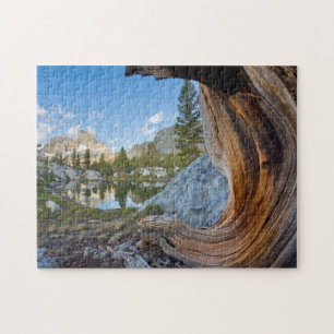 USA, California, Inyo National Forest. Old Pine Jigsaw Puzzle