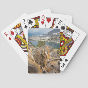 USA, California, Inyo National Forest. Playing Cards