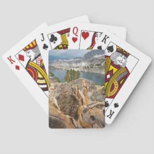 USA, California, Inyo National Forest. Playing Cards