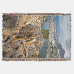 USA, California, Inyo National Forest. Throw Blanket