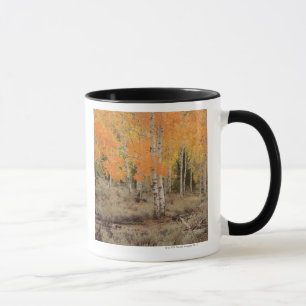 USA, California, Inyo National Park , Red aspens Mug